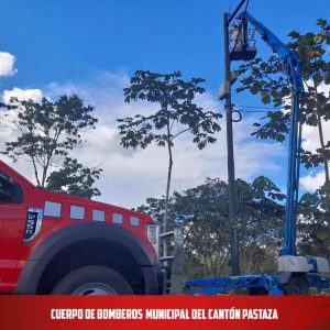|RESCATE DE ABEJAS|...
