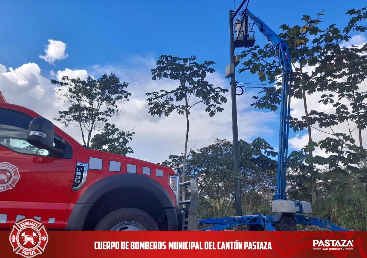 |RESCATE DE ABEJAS|...