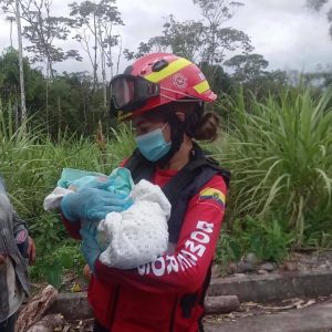 |EMERGENCIA MÉDICA|...