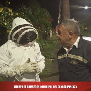 |RESCATE DE ABEJAS|...