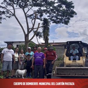 |CORTE DE ÁRBOL|...