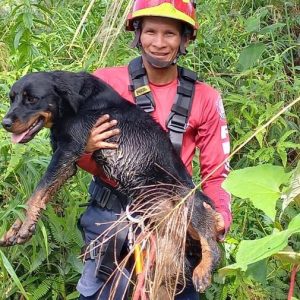 |RESCATE ANIMAL|...