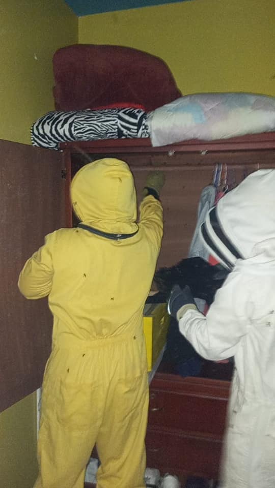 |ABNEGACIÓN Y DISCIPLINA|







 **RESCATE DE* *ABEJAS** 
  Por llamado del e...