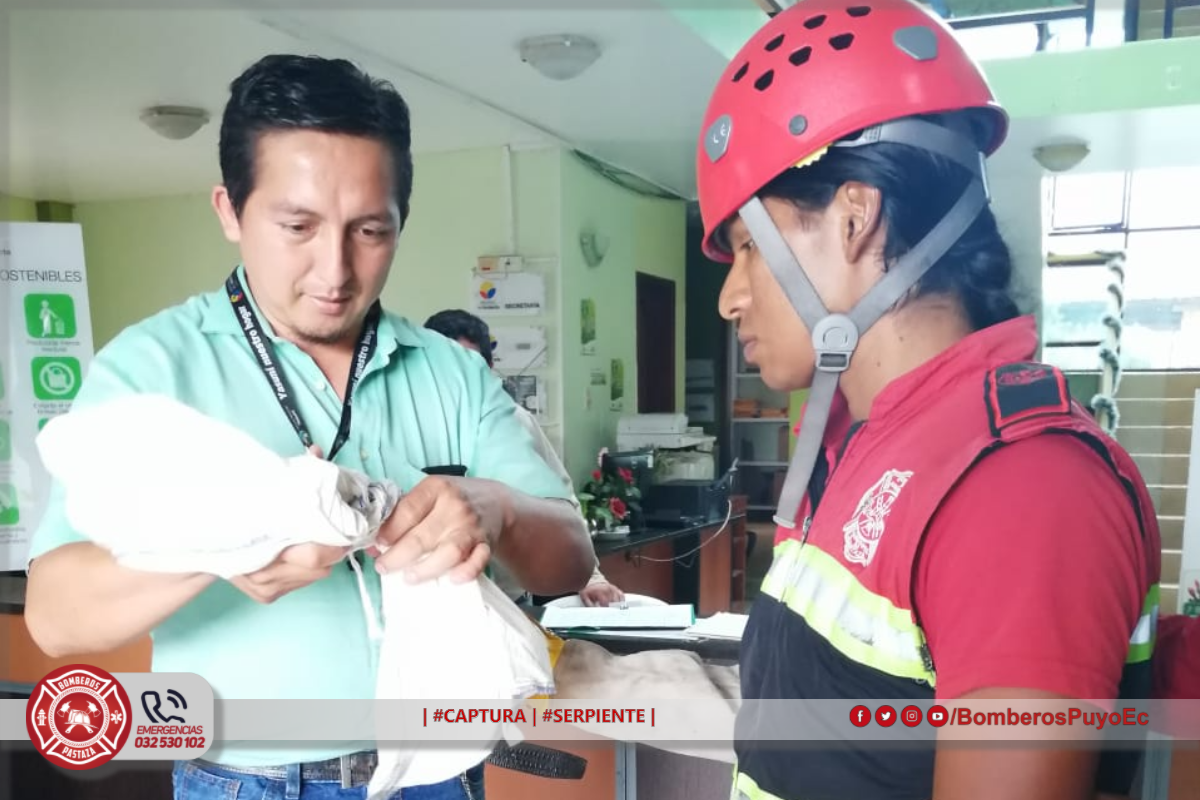 | #CAPTURA | #SERPIENTE |
 El Cuerpo de Bomberos Municipal del cantón Pastaza at...