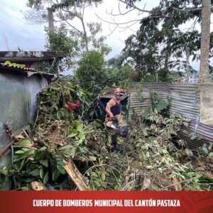|CORTE DE ÁRBOL|
  La unidad B3 se dirigió a realizar un corte de árbol en el ...