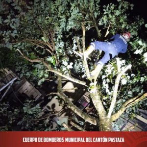 |CORTE DE ÁRBOL|
  Por las fuertes lluvias que se generaron en la ciudad, nues...