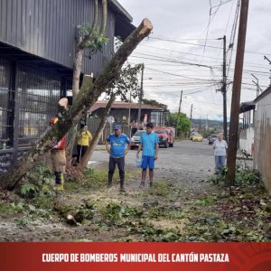 |CORTE DE ÁRBOL|
 Por llamada del #ECU-911, la unidad B3 se dirigió a la calle...