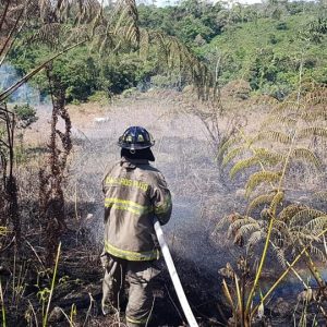 |#IncendioForestal#|
 El Ecu 911 reportó la emergencia del flagelo que se  produ...
