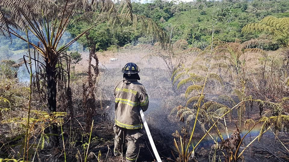 |#IncendioForestal#|
 El Ecu 911 reportó la emergencia del flagelo que se  produ...