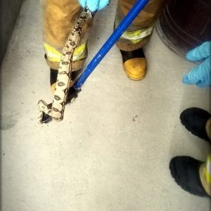 Por llamado del #ECU911 la unidad R3 del Cuerpo de Bomberos Pastaza se dirige a ...