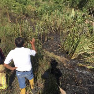 |QUEMA DE ESCOMBROS|
 La unidad contra incendios se dirige a controlar una que...