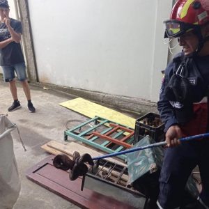 |RESCATE FAUNA SILVESTRE| 
  El día de hoy nuestra unidad especializada en res...